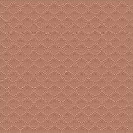 Coral-Clay