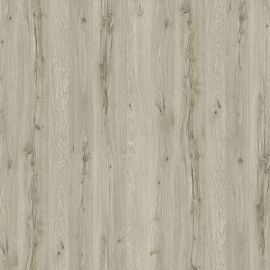 Strobus-pine