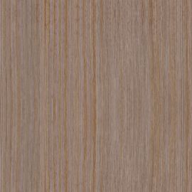Umbra Oak