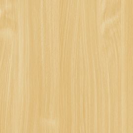 Mangfall-Beech