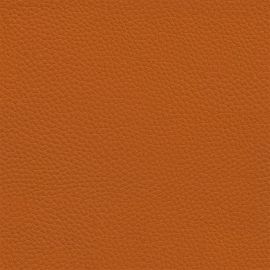 Burnt-Orange