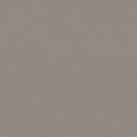 Dusk-Walnut